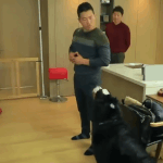 <b>크롭</b>티나 딱붙는옷 언제입는게 제일 적당하다고 생각해??