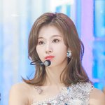 [댓글부탁해] 대학생활 답변해줄사람 ㅠㅠ