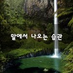 [힘이되줄게] 말에서 나오는 습관~