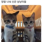 [댓글부탁해] 우리 언니 진짜 사기<b>캐</b>임