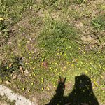 [댓글부탁해] 얘들아 <b>박력</b>있는행동 뭐뭐있을까