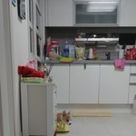 [강아지] 우리 강아지 성장기