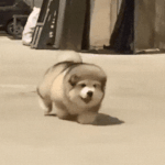 [댓글부탁해] 인수타 <b>감성</b>피드꾸미는중인디