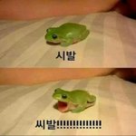 [10대의성] <b>랜챗</b>때문에 흑역사 오지게많음ㅋㅋㅋ