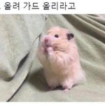 [댓글부탁해] 얘들아 그 니트중에 헐렁하고 안에 나시같은거 입는...