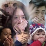 [드루와] 올리브영 지역<b>화폐</b> 쓸수잇엉??