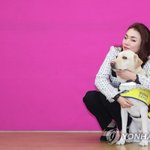 국회, 안내견 '조이' 본<b>회의장</b> 출입허용 가닥…여야 '한 목소리'