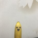 나 새친구 생겼다 정말 하루하루가 행복해