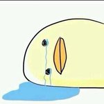 [댓글부탁해] 토할정도로 <b>편식</b>하는 음식 적고가라