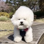 쌍수하면 눈감았을때 <b>자국</b> 다 있어?