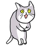 [이것좀봐줘] 인싸가 말걸면 찐따 특징 .jpg