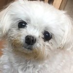 [댓글부탁해] <b>역삼</b>사는애들아