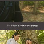 한소희x김재영 <b>백</b>낭서사 3 +짤털