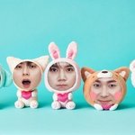[뉴이스트] 지금 나의 폰 갤러리 상황ㅋㅋㅋ