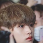 [NCT] <b>해찬</b>글 올렸었는데
