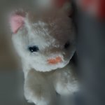 [드루와] 나 고양이 키우는데 봐봐