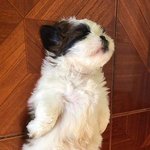 뭐임? 요즘 판에서 꿀팁 <b>풀기</b>가 유행이냐?