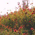 [ㅈㄱㄴ] 나 진짜 <b>뼛속</b>까지 여쿨인가봐