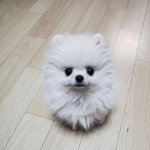 이<b>학습</b>터년 좀만 폰 꺼놔도 로그인해래