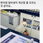 [댓글부탁해] <b>따스</b>했던