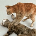 [NCT] 오 베이비베이비