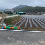 [ㅈㄱㄴ] <b>시골</b>에서 살면서 매일 지나는 곳