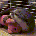 <b>화징품</b> 뭐사지 추반