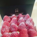 [ㅈㄱㄴ] 딸기 <b>티라미수</b>