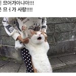 [드루와] 와 나 미쳤나봄 로판에 6만원 쓰려고