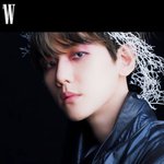 [EXO] 와... 변백현 와.....