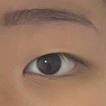 [댓글부탁해] 쌍수 추반좀 <b>해조</b>