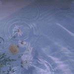 지극히 내 취향인 여름여름하고 <b>청량</b>, <b>청순</b> 짤 모음