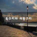 [힘이되줄게] 독수리와 쇠똥구리~