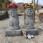 [강아지] 우리애기 견생샷 봐주세요~~~~