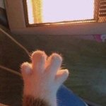 [드루와] 온클 <b>수업</b> 개웃김 ㅋㅋ 유튜브에 그냥 공개로 올리시네