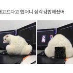 [댓글부탁해] 페북 탐라 막는 법 알려조 ....