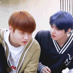 [알페스] 비게퍼 <b>판별</b>부탁