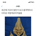 헐 가오리 <b>말린</b> 거 개징그러움