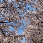 [19] 판녀들아 너네 <b>인생템</b> 뭐야?