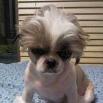 [<b>악플</b>] 얘들아 너희 <b>악플</b> 씀?