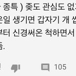 진짜 한국인들 <b>개병신</b>같은 특징