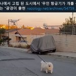 [댓글부탁해] <b>톤</b>궁예해줄 <b>톤</b>잘<b>알</b>들 들어와❤️