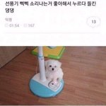 [드루와] 나 갑자기 학교가 그리웡