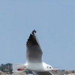 폰<b>카로</b> 직찍~~