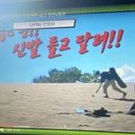 [세븐틴] 이거 무슨<b>방송</b>ㅅ이야?
