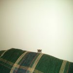 남이 올린 사진 <b>저장</b>해서 지가 한 척 하는건 무슨 <b>심리</b>야?