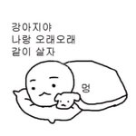 [드루와] 아 가뜩이나 잠못<b>자서</b> 개짜중나는데 ㅅㅂ