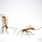 대나무를 변신시킨 <b>금손</b> 파브르