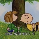 168에 <b>교복핏</b> 예쁘려면 몇나가야돼?