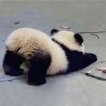 혹시 클렌징<b>오일</b>로 블랙헤드 뽑을 애들 들어와봐